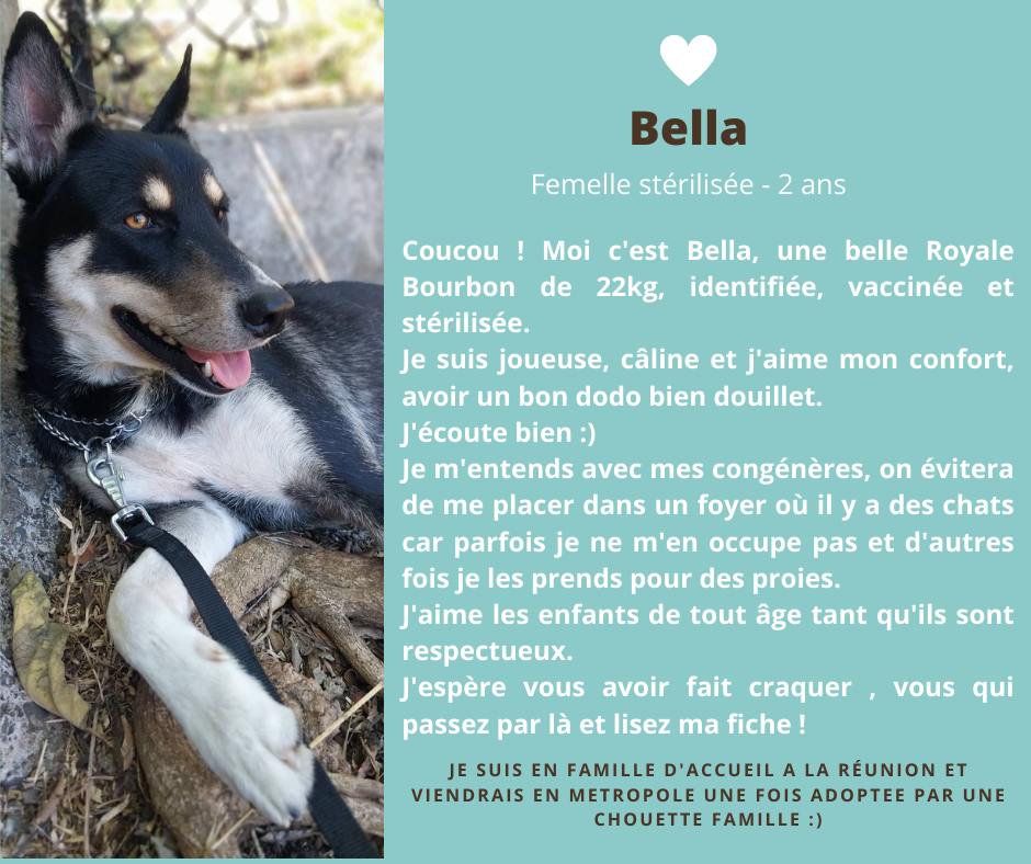 post adoption bella