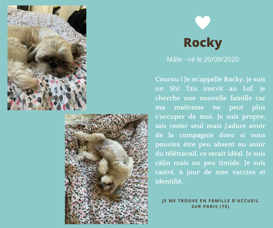 post adoption rocky