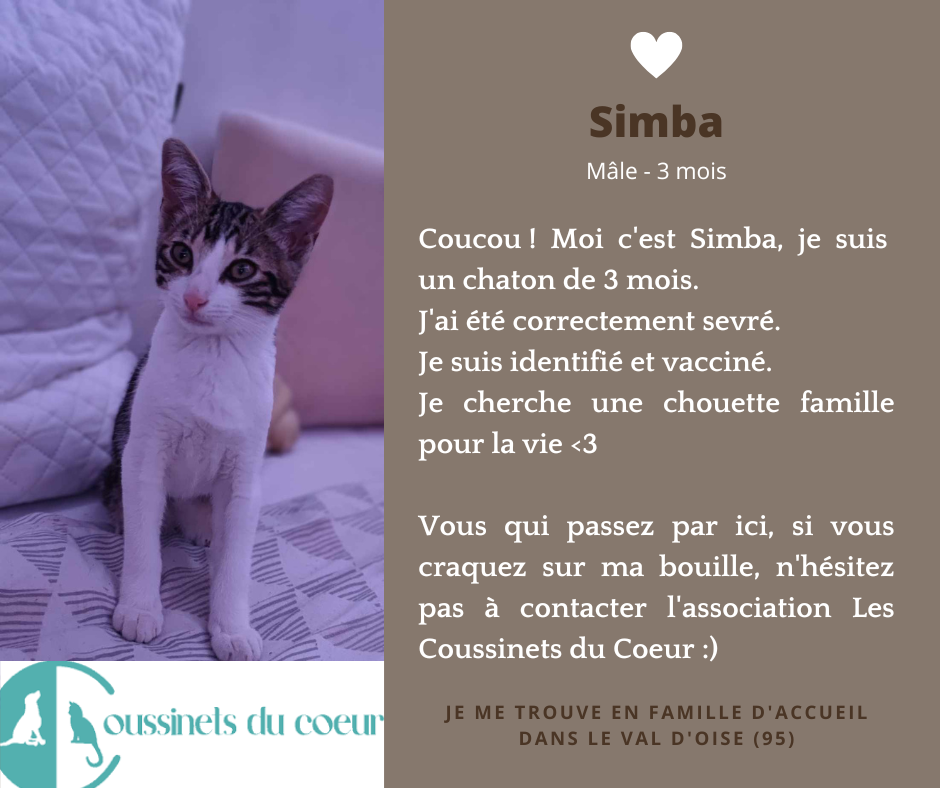 post adoption simba