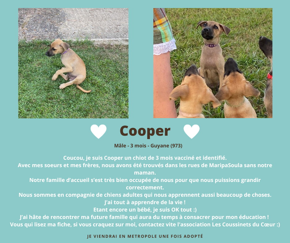 post adoption cooper