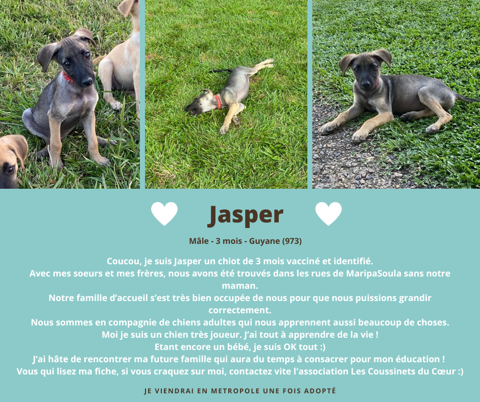 post adoption jasper